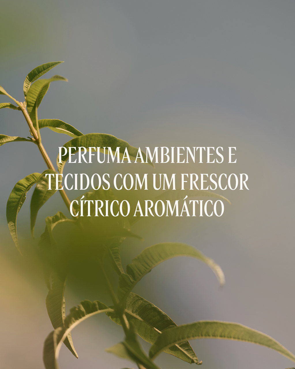 Spray de Ambiente Verveine (Verbena), , large